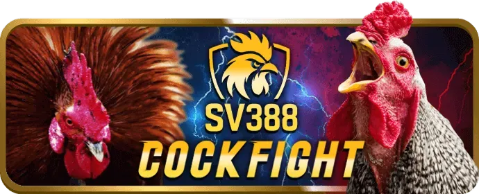Phương thức nạp rút tiền an toàn của falconbet win